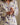 Purple Gossip Unisex Cotton Pyjama Set VON LOEBELL Collection